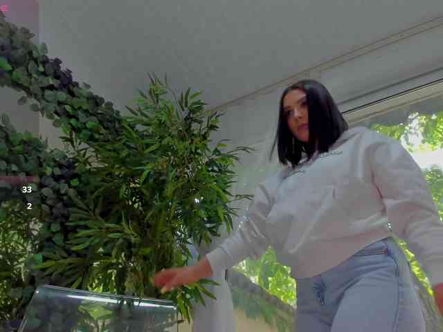 LexiStorm
