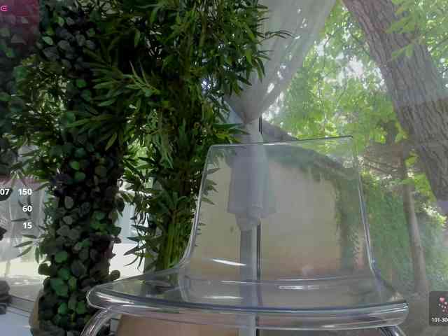 LexiStorm webcam
