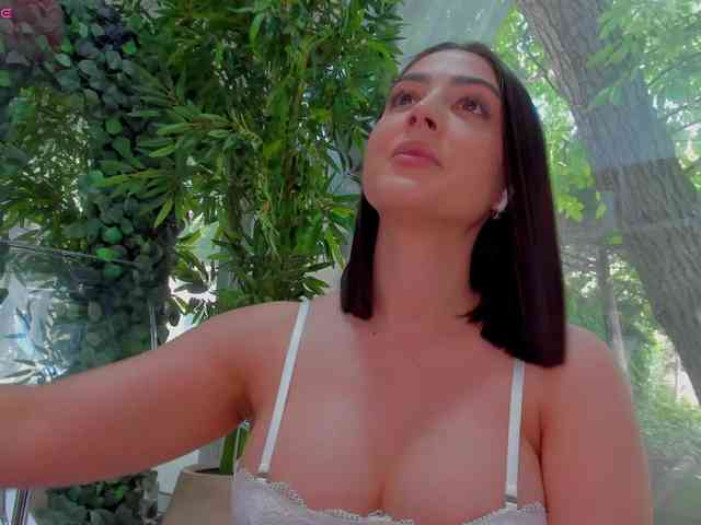 LexiStorm