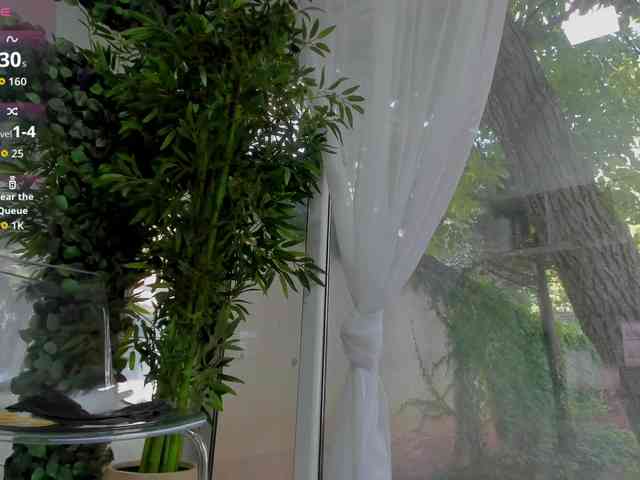 LexiStorm webcam