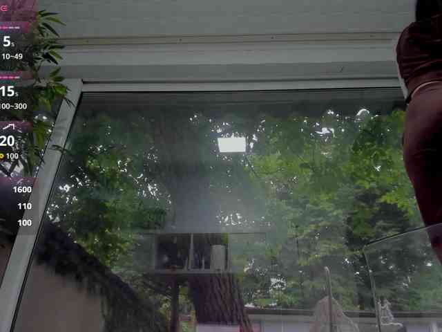 LexiStorm webcam