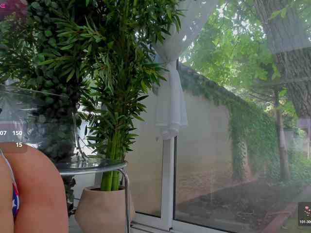 LexiStorm webcam