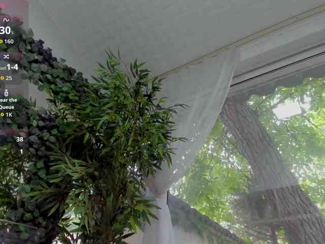 LexiStorm webcam