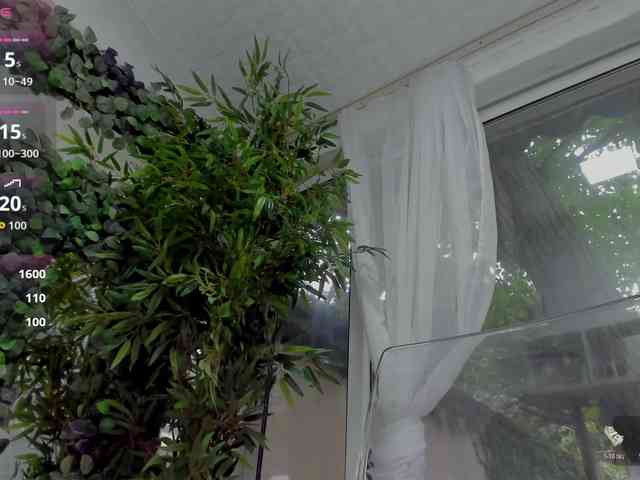LexiStorm webcam