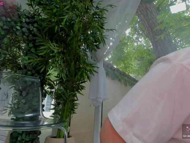 LexiStorm webcam