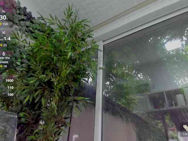 LexiStorm webcam