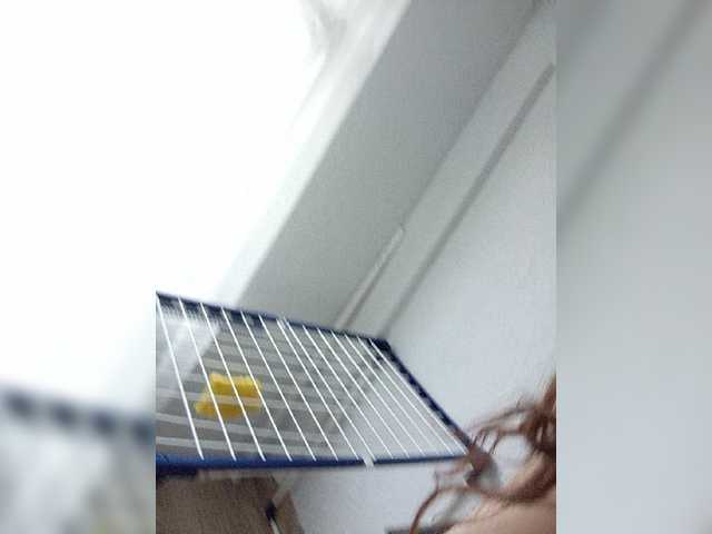 kissa-is-klassa-a live sex show