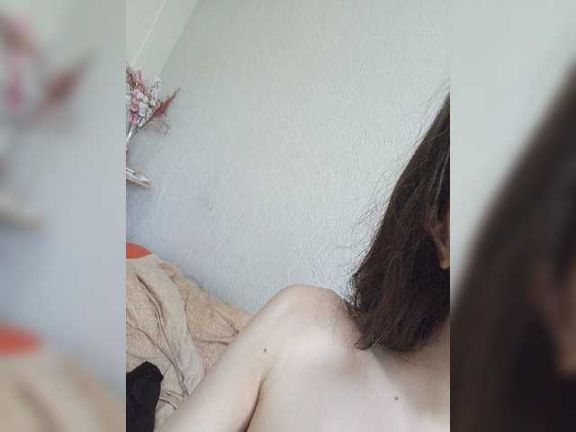 Kissa-is-klassa-a