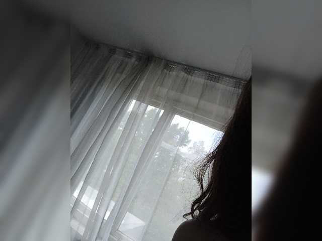 Kissa-is-klassa-a webcam