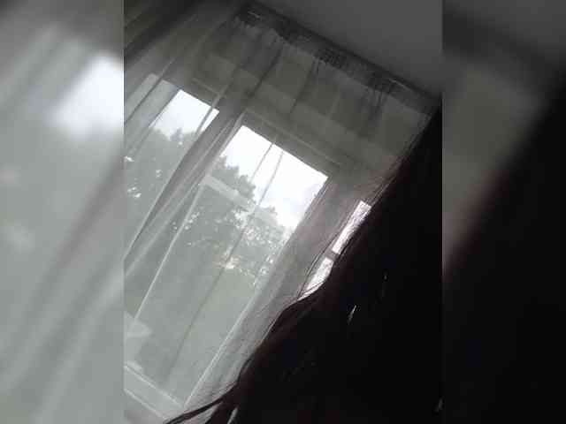 Kissa-is-klassa-a webcam