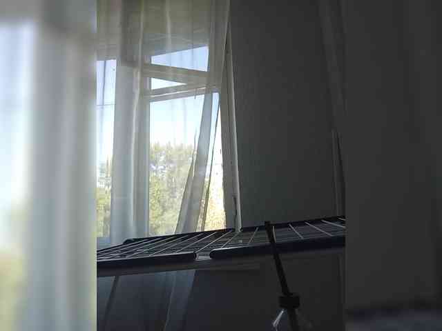 Kissa-is-klassa-a webcam