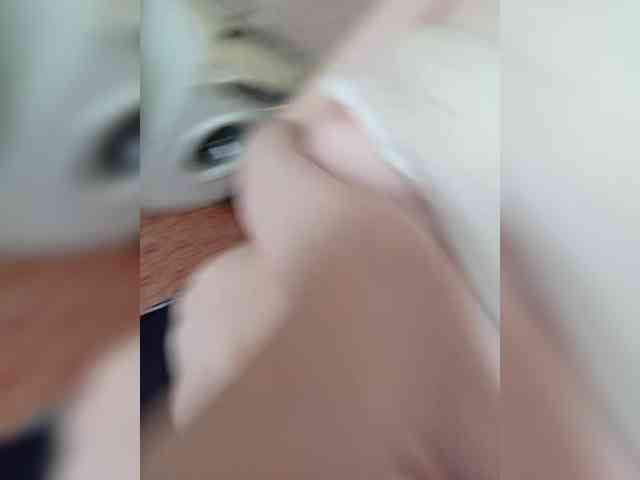 Kissa-is-klassa-a webcam