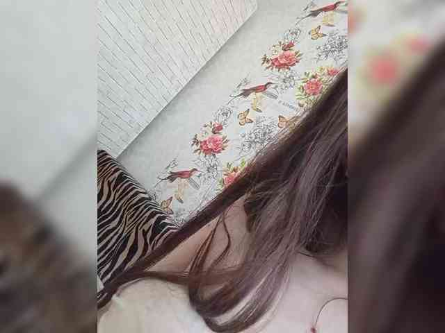Kissa-is-klassa-a webcam