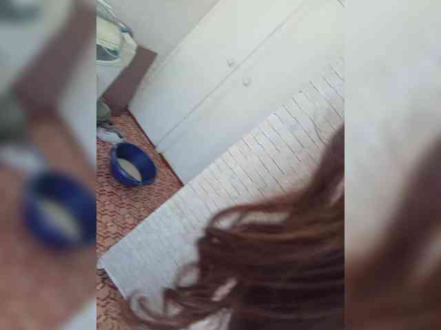 Kissa-is-klassa-a webcam