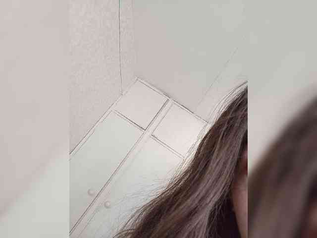 Kissa-is-klassa-a webcam