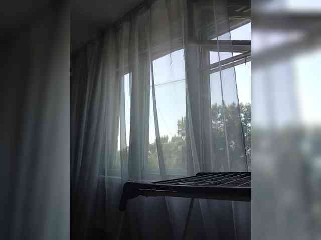 Kissa-is-klassa-a webcam