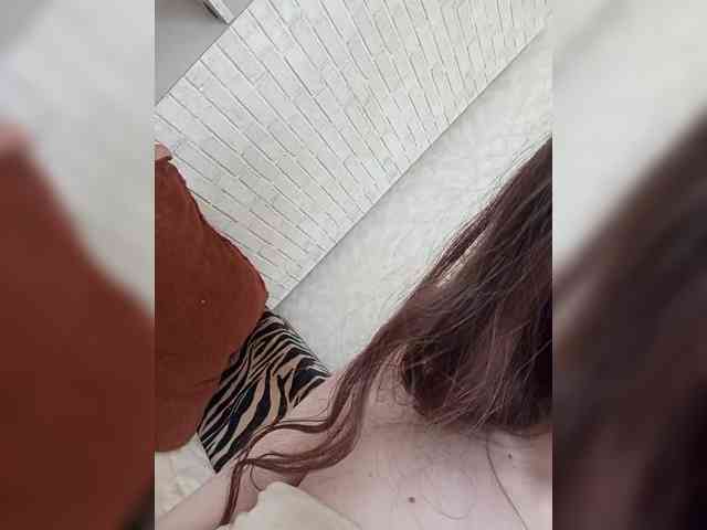 Kissa-is-klassa-a webcam