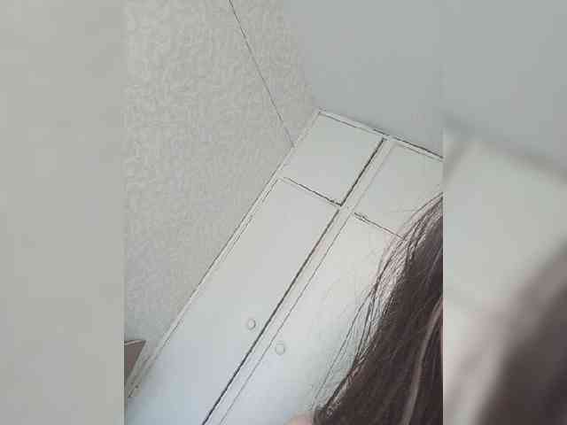 Kissa-is-klassa-a webcam