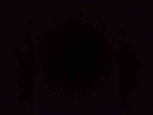 Kissa-is-klassa-a webcam