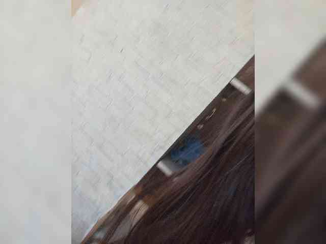 Kissa-is-klassa-a webcam