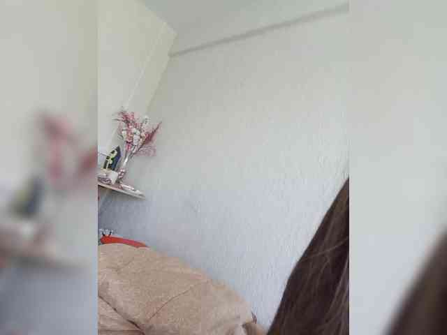 Kissa-is-klassa-a webcam