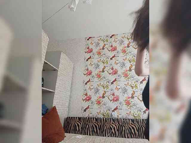Kissa-is-klassa-a webcam