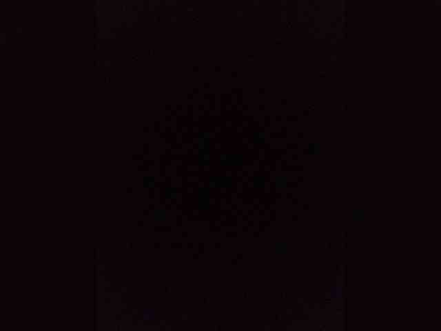 Kissa-is-klassa-a webcam