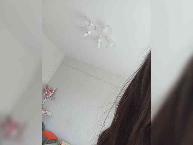 Kissa-is-klassa-a webcam