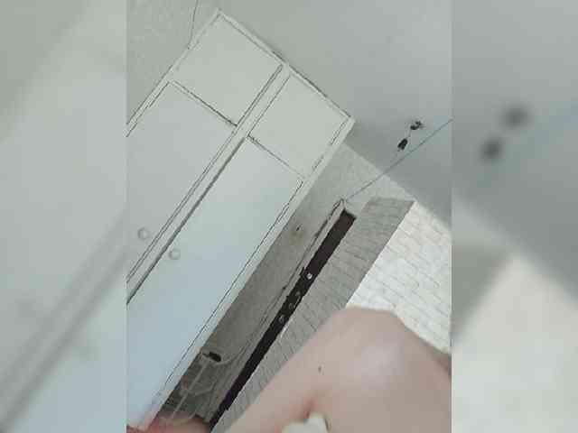 Kissa-is-klassa-a webcam