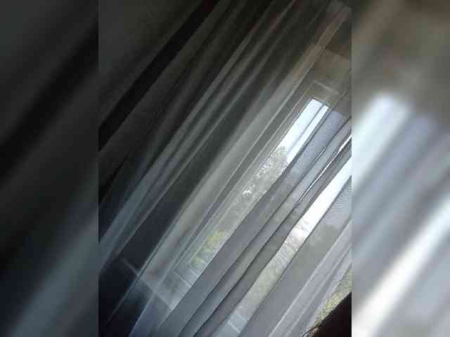Kissa-is-klassa-a webcam