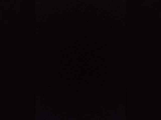 Kissa-is-klassa-a webcam
