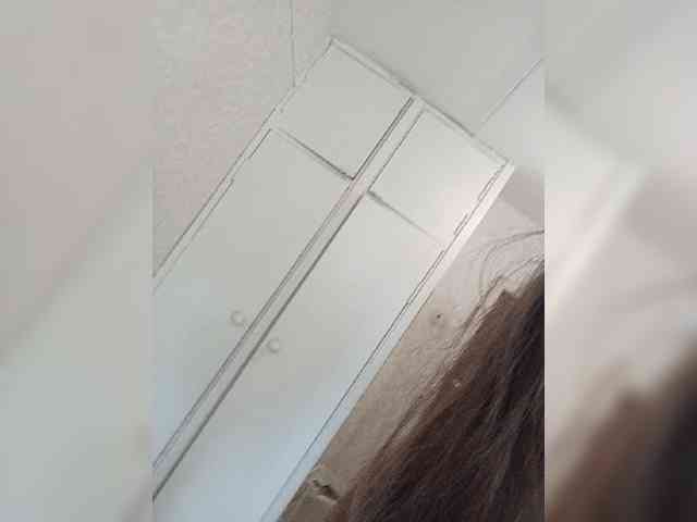 Kissa-is-klassa-a webcam