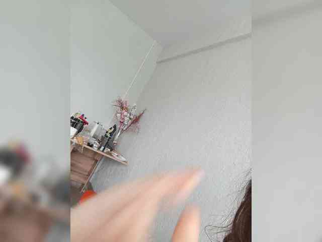 Kissa-is-klassa-a webcam
