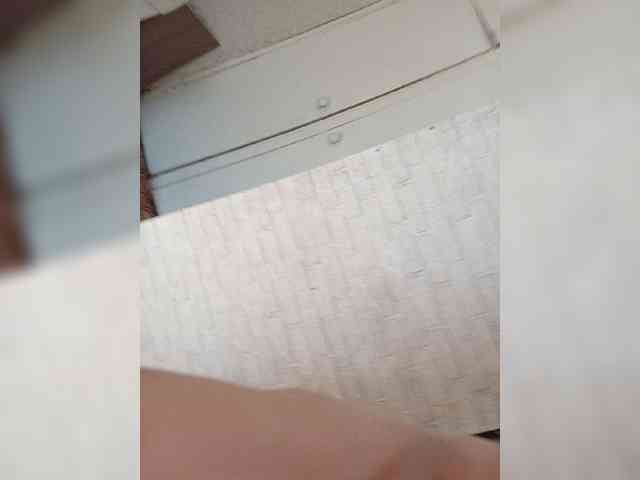 Kissa-is-klassa-a webcam