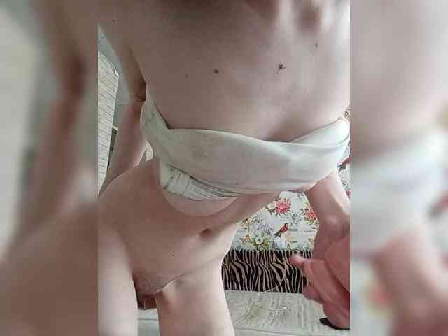 Kissa-is-klassa-a webcam