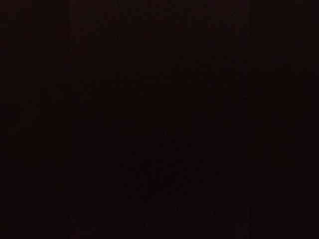 Kissa-is-klassa-a webcam