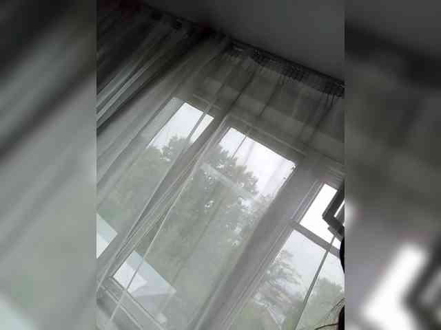 Kissa-is-klassa-a webcam