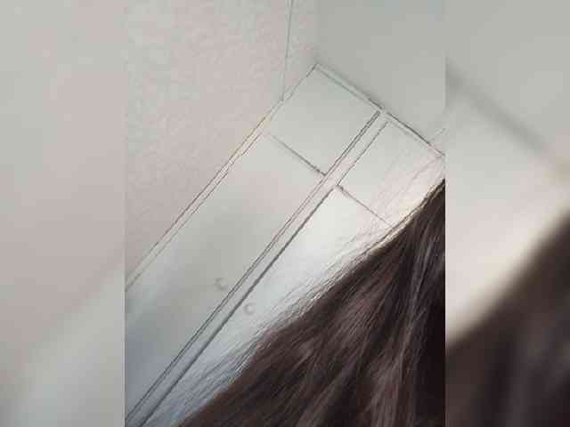 Kissa-is-klassa-a webcam