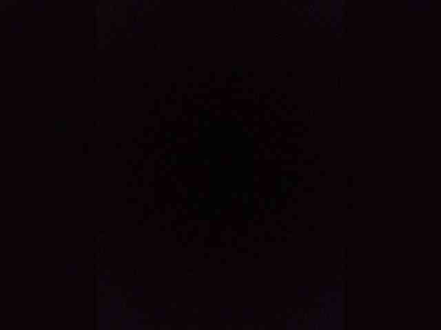 Kissa-is-klassa-a webcam