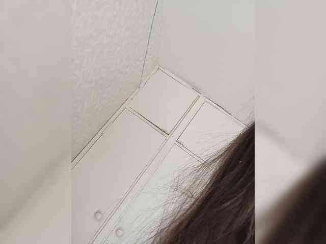 Kissa-is-klassa-a webcam