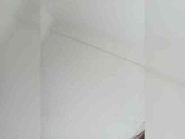 Kissa-is-klassa-a webcam