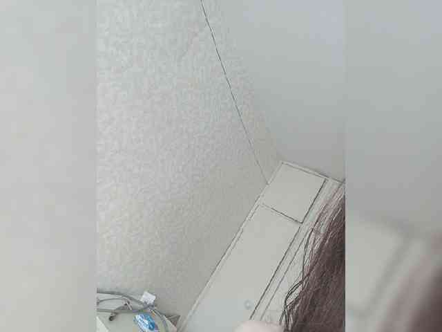 Kissa-is-klassa-a webcam