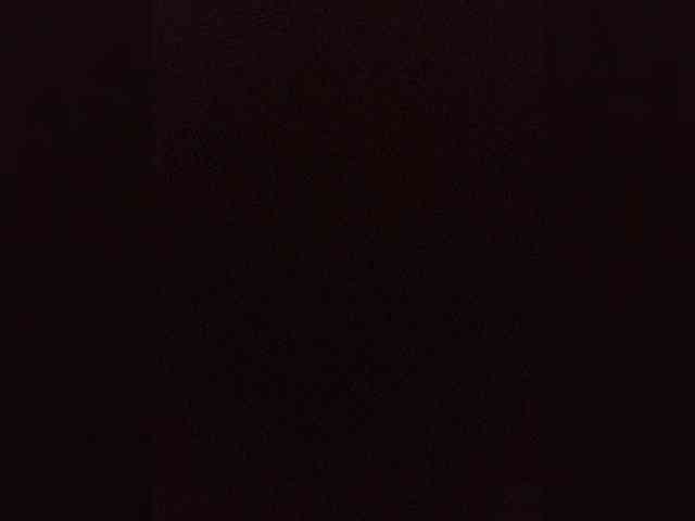 Kissa-is-klassa-a webcam