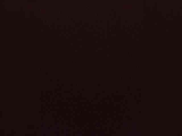 Kissa-is-klassa-a webcam