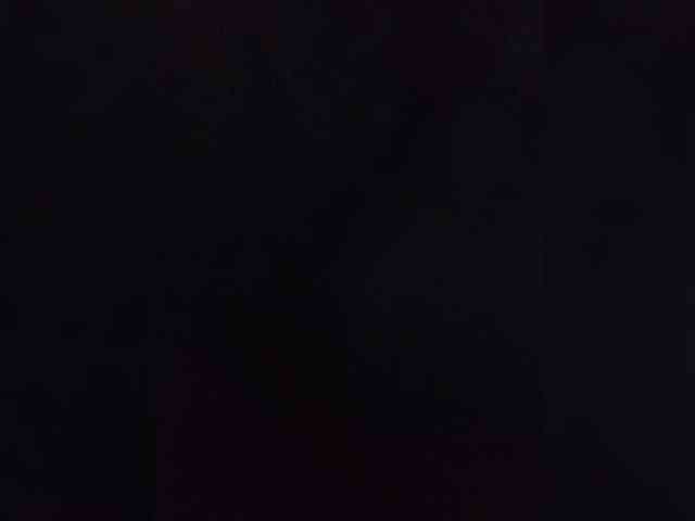 Kissa-is-klassa-a webcam