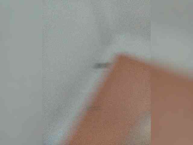 Kissa-is-klassa-a webcam