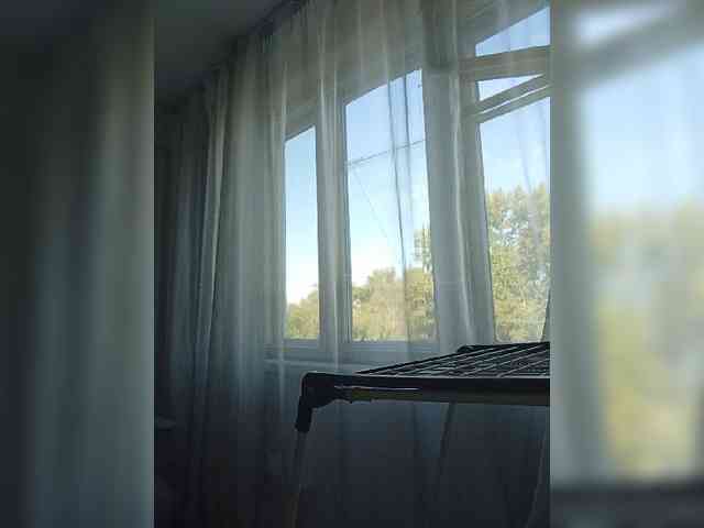 Kissa-is-klassa-a webcam