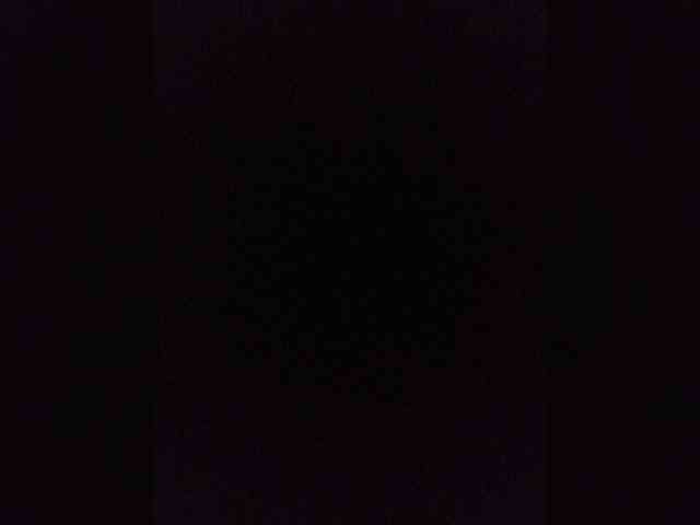 Kissa-is-klassa-a webcam