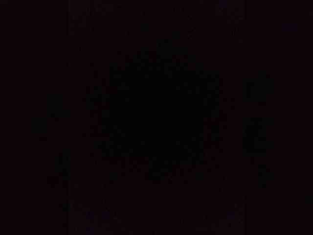 Kissa-is-klassa-a webcam