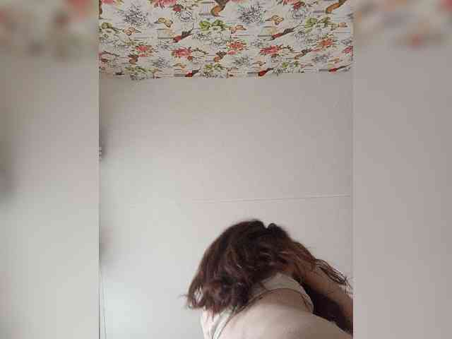 Kissa-is-klassa-a webcam